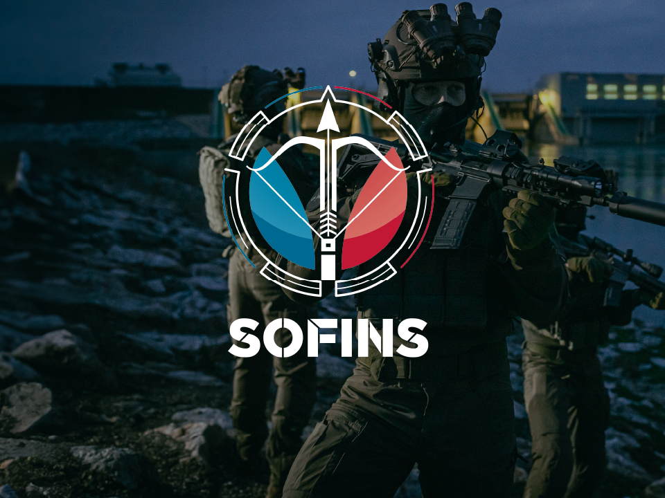 SOFINS 2025 Mehler Systems